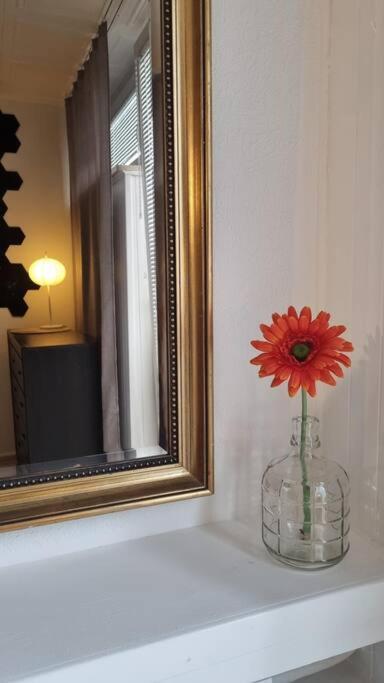 Apartament Comfort-plus Ll *